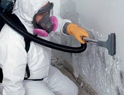 Best Black Mold Removal in Alderson, WV